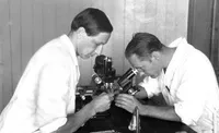 George Beadle and Boris Ephrussi using microscopes