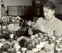 Lilian Morgan working in the lab