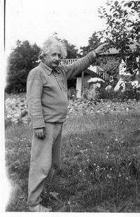 Einstein in a garden