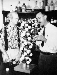 Linus Pauling and Robert Corey with model of molecule