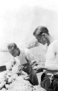 Franco Rasetti and Clark Millikan