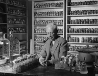 A. H. Sturtevant in Drosophila room in Kerckhoff