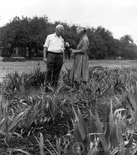 Dr. and Mrs. Alfred Sturtevant in iris garden