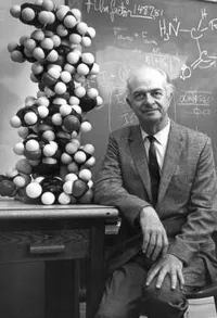 Linus Pauling with molecular model