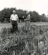 Dr. and Mrs. Alfred Sturtevant in iris garden