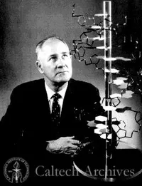 George Beadle sitting with molecular model.