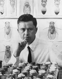 Edward B. Lewis with Drosophila