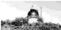 Palomar dome