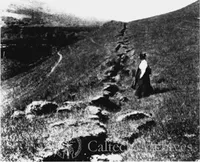 Surface rupture form the 1906 San Francisco earthquake