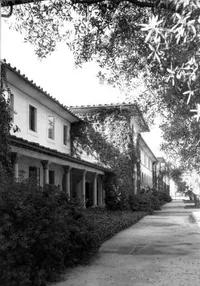 Student houses flanking the Olive Walk