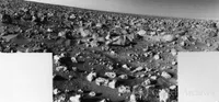 Rocky panoramic scene of the Martian landscape